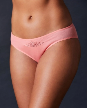 Allegra Bikini