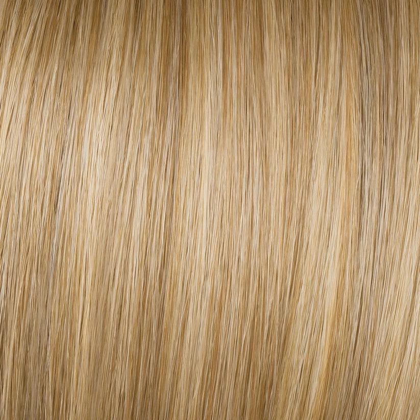 Beaming Beauty Wig By Gabor | Synthetic (Lace Front Mono)