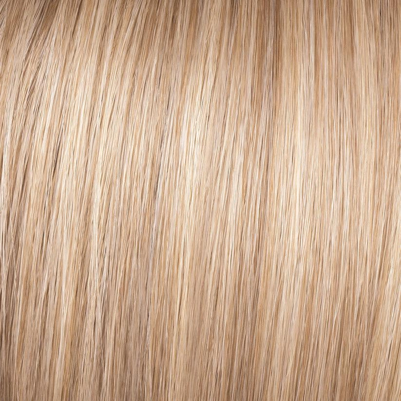 Beaming Beauty Wig By Gabor | Synthetic (Lace Front Mono)
