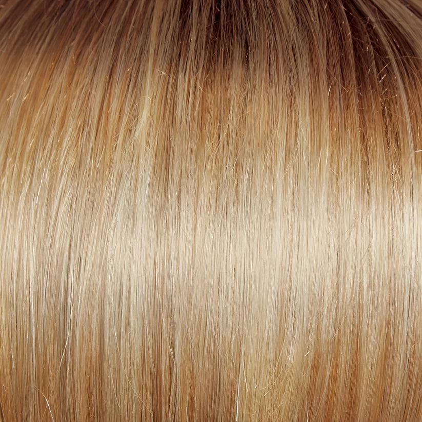 Beaming Beauty Wig By Gabor | Synthetic (Lace Front Mono)