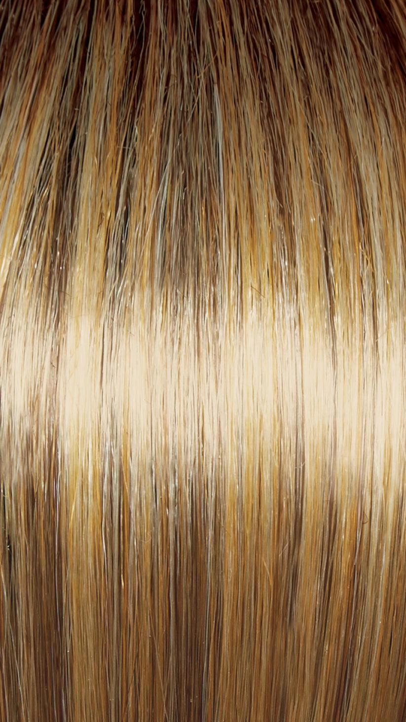 Beaming Beauty Wig By Gabor | Synthetic (Lace Front Mono)
